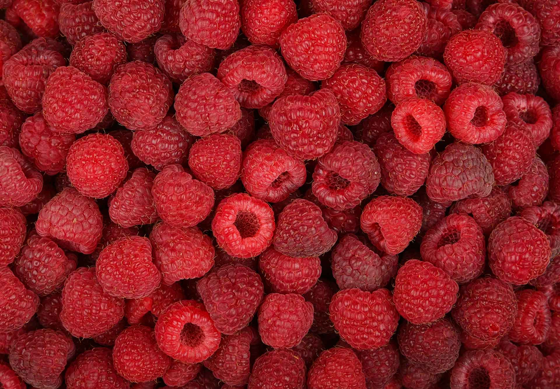 Beeren, die Zähne verfärben können