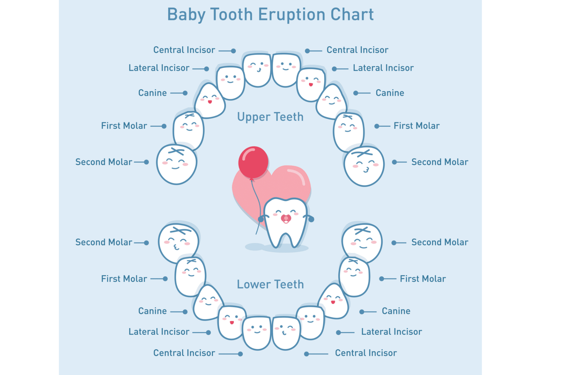 Zahnschema Kinderzähne