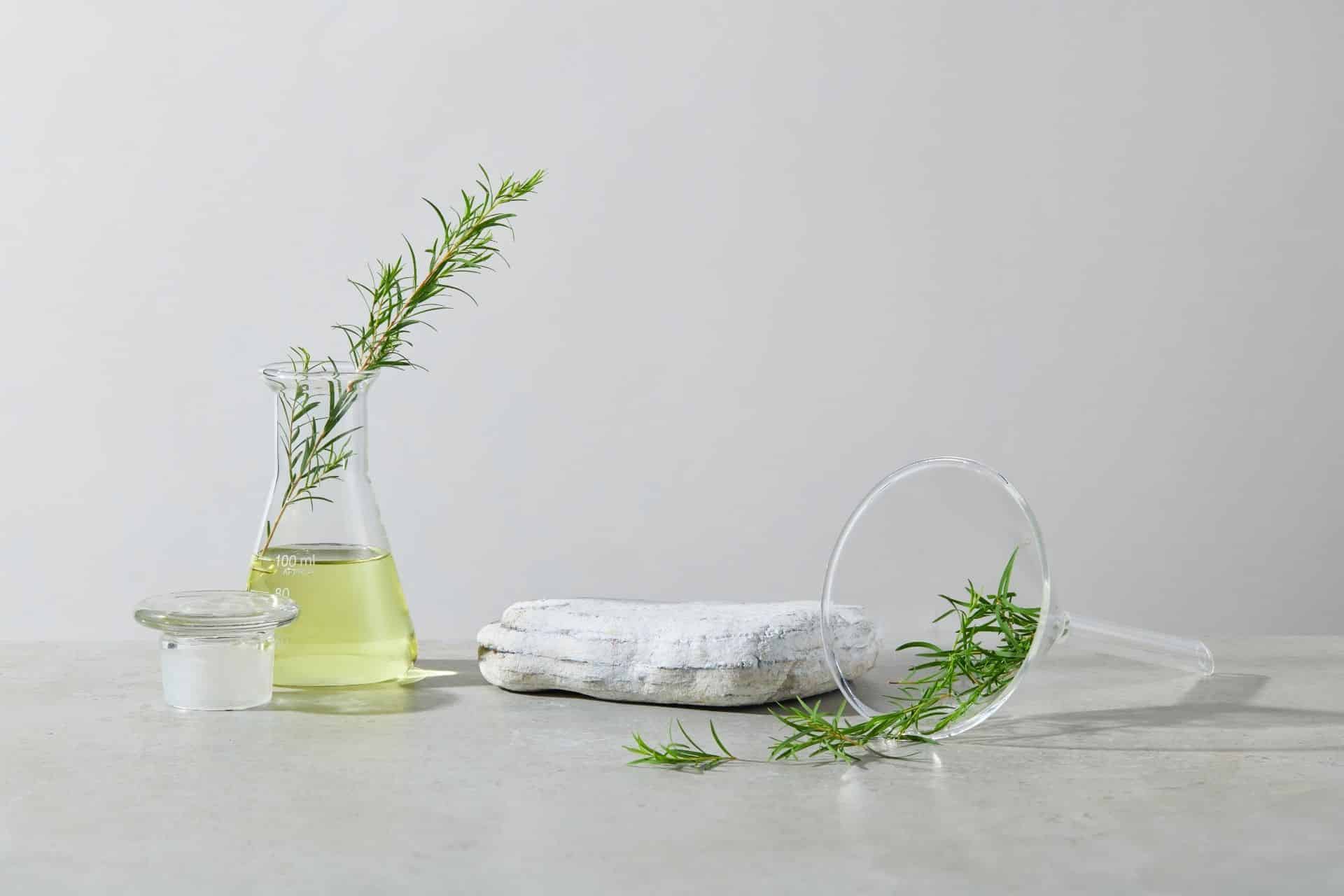 Teebaumöl als Hausmittel gegen Zahnschmerzen