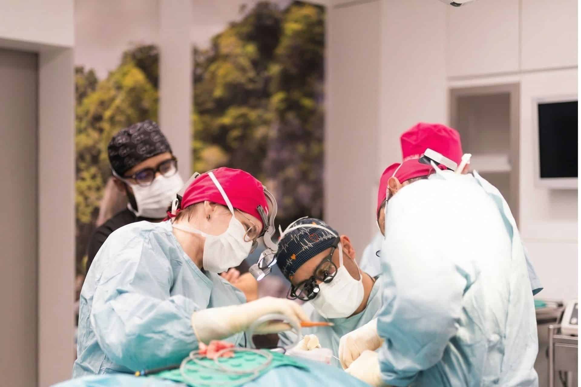 Facelift Kongress in der Dorow Clinic mit internationalen Kollegen